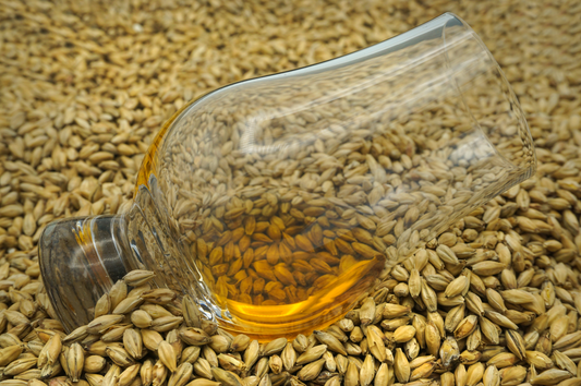 Why Burnobennie Distillery Believes Great Whisky Begins Before the Cask