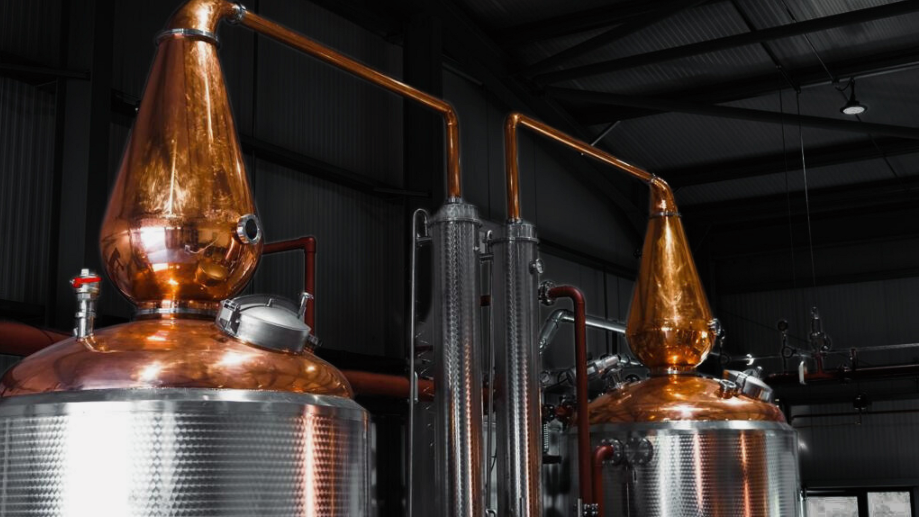 Copper stills in a distillery setting