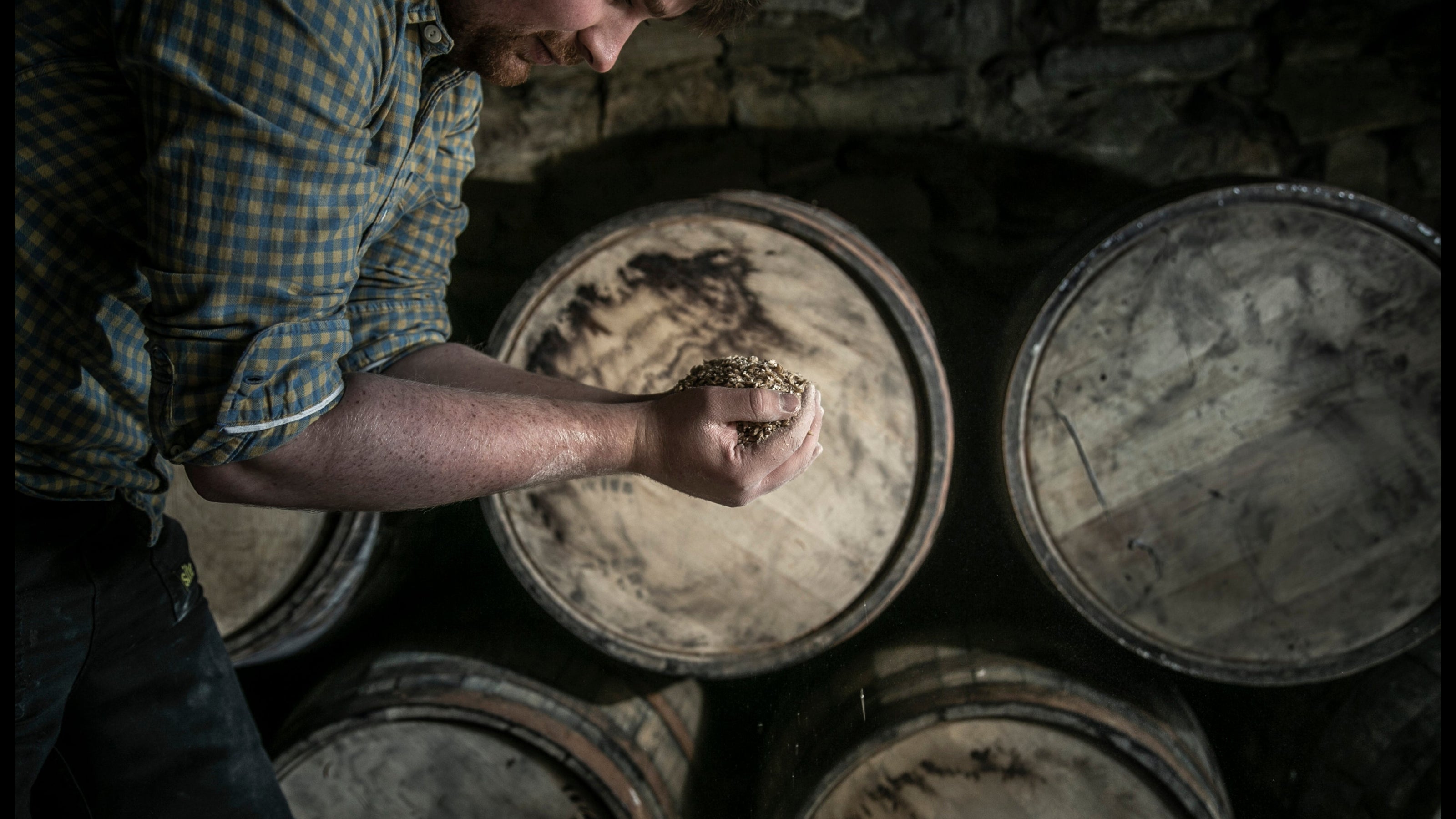 A man in a plaid shirt leans over large wooden barrels in a dim stone room, holding a small sample of grain or powder in his hand.